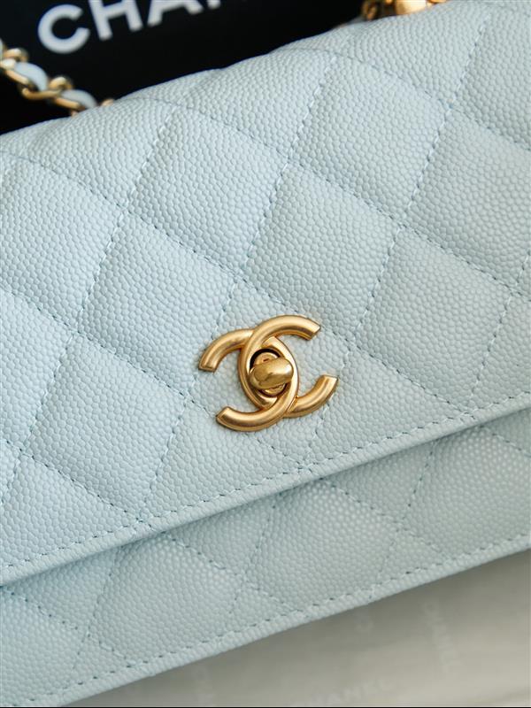 2026131222425420 560